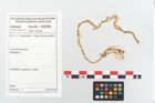 Etikett zu Rohhaut (NHMW-PRAE-125783)